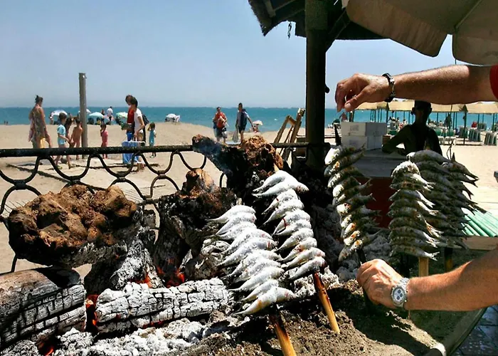 Club Playa Flores 508 * Torremolinos